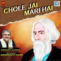 Chole Jai Mari Hai