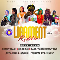 Charly Black Songs Download: Charly Black Hit MP3 New Songs Online Free on  