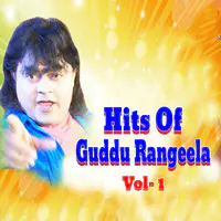 Hits of Guddu Rangeela, Vol. 1