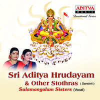 Sri Aditya Hrudayam & Other Stothras