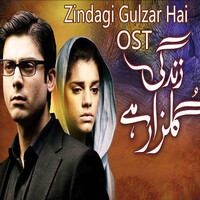 Zindagi Gulzar Hai (Original Motion Picture Soundtrack)