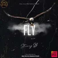 Fly