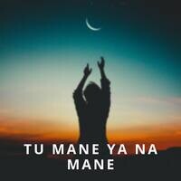 Tu Mane Ya Na Mane