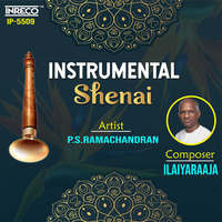 Instrumental_Shehnai