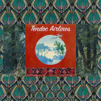 TenDoc Airlines