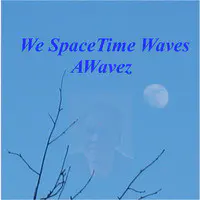 We SpaceTime Waves