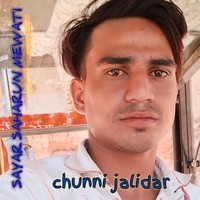 Chunni jalidar