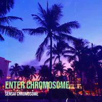 Enter Chromosome