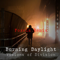 Burning Daylight (Remix)