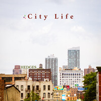 City Life