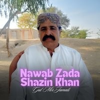 Nawab Zada Shazin Khan