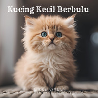 Kucing Kecil Berbulu