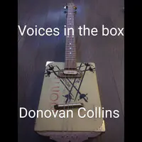 Voices in the Box