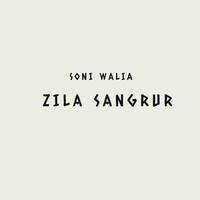 ZILA SANGRUR