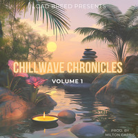 ChillWave Chronicles, Vol. 1