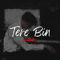 Tere Bin