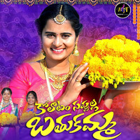 Kolatam Sappulla Bathukamma (DJ Song)