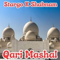 Stargo K Shabnam