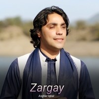 Zargay