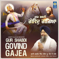 Gur Shabdi Govind Gajea