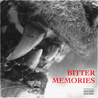 Bitter Memories