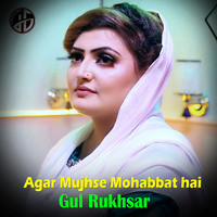 Agar Mujhse Mohabbat Hai
