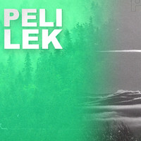 Lek