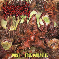 Post - Tree Parasite