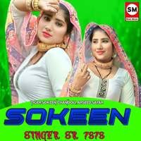 Sokeen Singer SR 7878