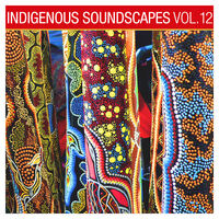 Indigenous Soundscapes, Vol. 12