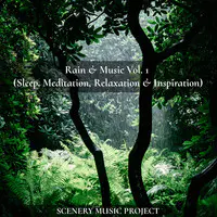 Rain & Music, Vol. 1 (Sleep, Meditation, Relaxation & Inspiration)