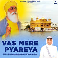 Vas Mere Pyareya