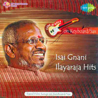 Melody Hits Of Ilayaraja Melody Instrumental Tamil