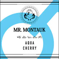 Mr Montauk