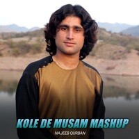 Kole De Musam Musam Mashup