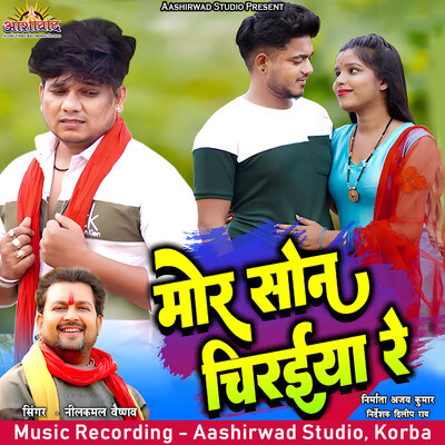 nilkamal vaishnav cg holi song download