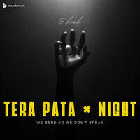 Tera Pata x Night