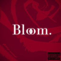 Bloom.