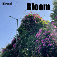 Bloom