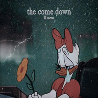 The Come Down