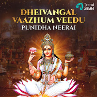 Punidha Neera (Dheivangal Vaazhum Veedu)