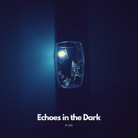 Echoes in the Dark