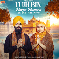 Tujh Bin Kavan Hamara