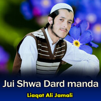 Jui Shwa Dard manda