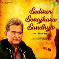 Sediner Sonajhara Sandhya - Instrumental