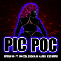 Pic Poc