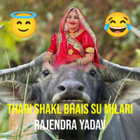 Thari Shakl Bhais Su Milari