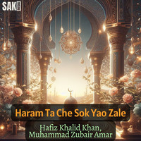 Haram Ta Che Sok Yao Zale