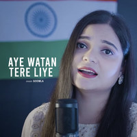 Aye Watan Tere Liye