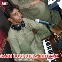 Sakh Dost Dilla Bheetaii